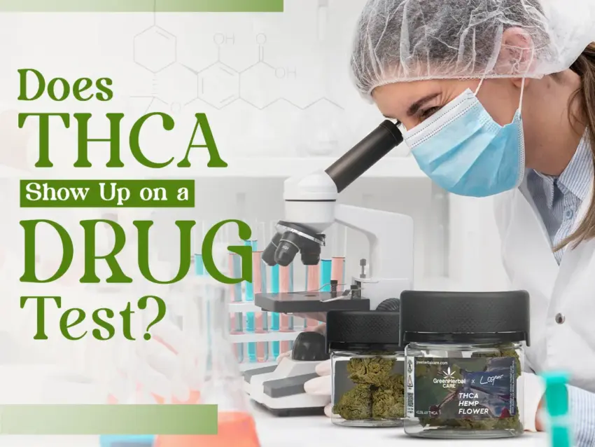 Will THCA Show Up on a Drug Test?