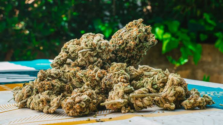 thca flower